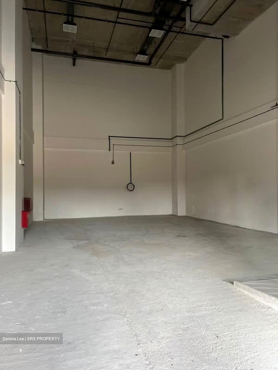 FOOD ASCENT (D22), Factory #589162461
